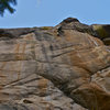 John Hinrichsen pulling through the second technical crux towards the Red Wood anchors.  Photo: Elisa Phillips.