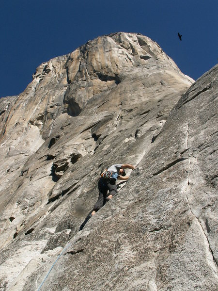 Karl leading Pine Line (5.7) on El Capitan.