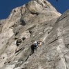 Karl leading Pine Line (5.7) on El Capitan.