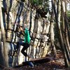 "Triangulation"(V4), Buttercup Boulder