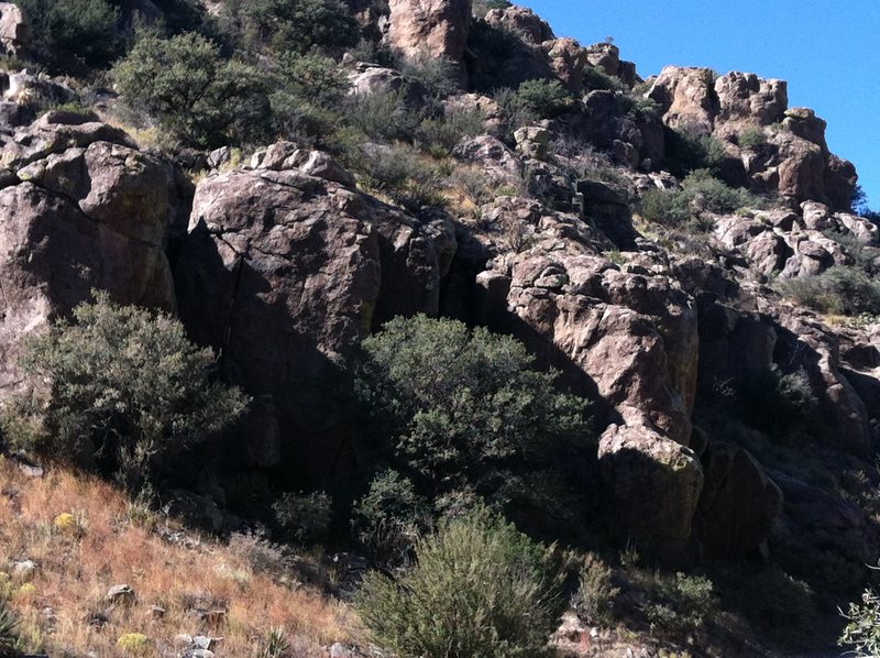 Bolted Arete from campground rising above the left side of the tree.