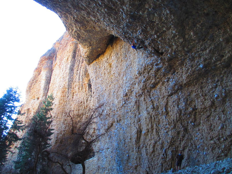 Failing at knee-baring once again on the Diggler, this route is damn hard if you are as bad at knee-baring as I am, photo by Kate A.