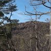 A lot of acreage. <br>
Upper central left side slab is Makamah Road. Lower slab on right side is Hannah. Right of the tree trunk in the foreground   is some of upper Jack L'Lantern in the background.