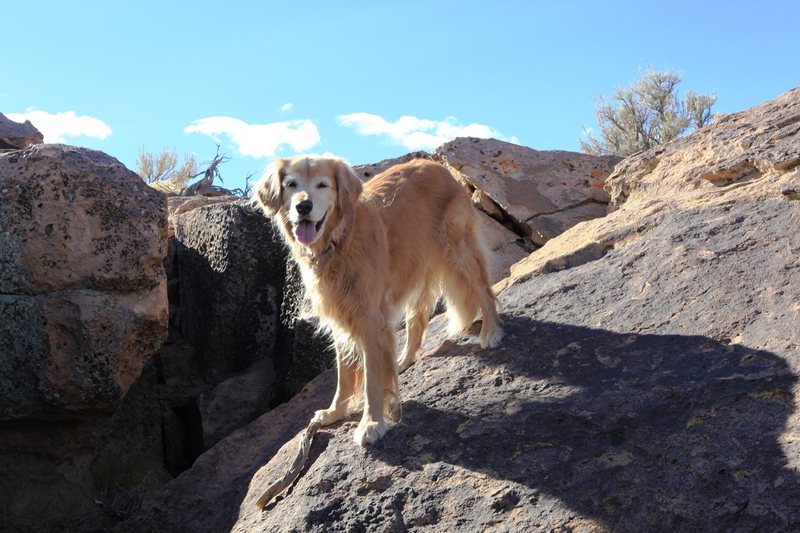 You don't have to be bouldering to be happy at The Happies!