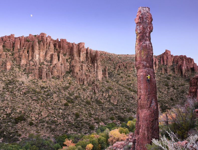 Halfway up the Totem Pole