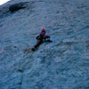 Walk on the wild side, Saddle Rock, Joshua Tree 82'