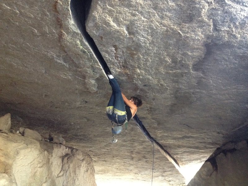 vanessa almanza putting the fanessa on the 'ol trench sauce