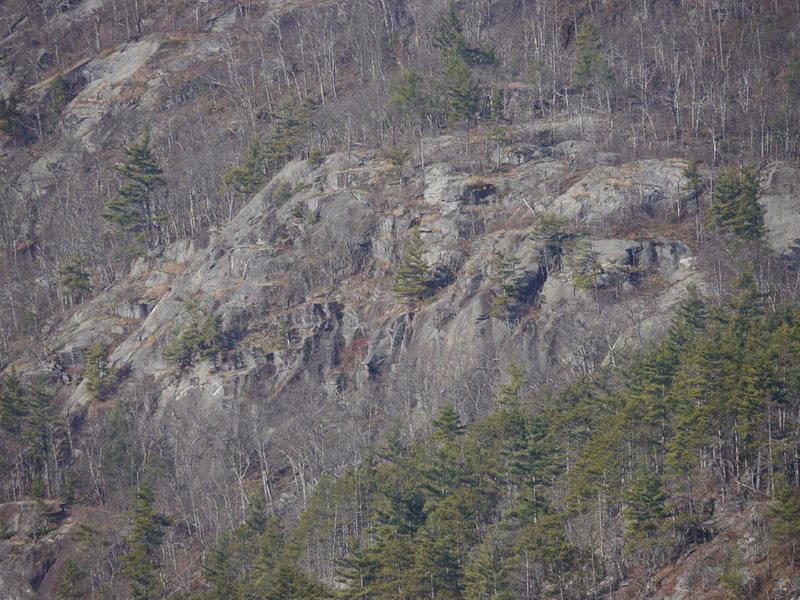 Jimmy Cliff in its entirety.