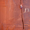 let's get physical, on SC Memorial route<br>
photo by Andre aktionphoto.com