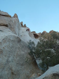 Tidying up the House!