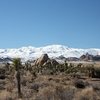 Cap Rock, Joshua Tree NP