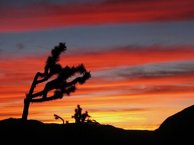 Horizontal limbo at the Hall of Horrors, Joshua Tree NP