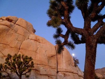 Moonrise during the 2012 New Year.