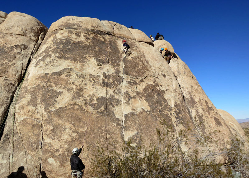 Three-year old Wesley Fienup (in the red helmet) climbs Gotcha Bush in Indian Cove, Joshua Tree. <br>
<br>
For little climbers like this, you'll need to provide a boost up the first 6 feet of the route. That 5.6 move is height-dependent.