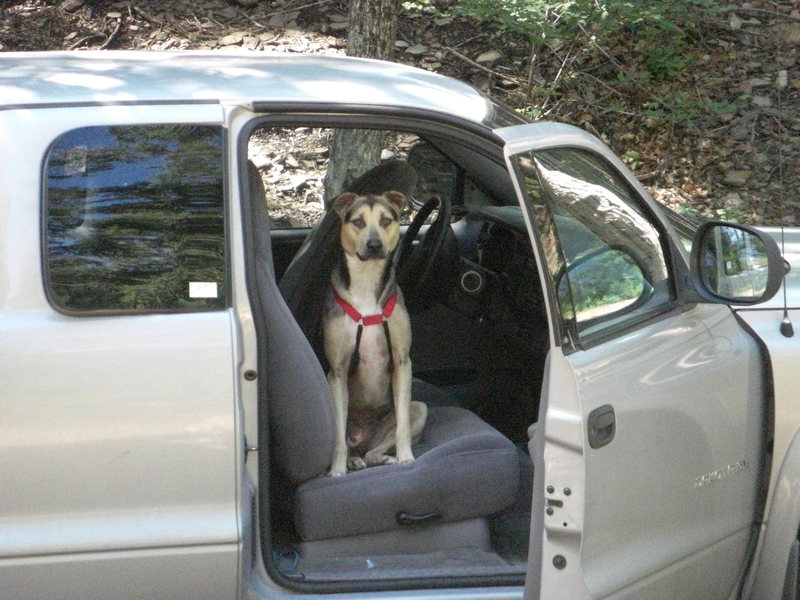 Bugg ready to go home after a long week of fishing and climbing.