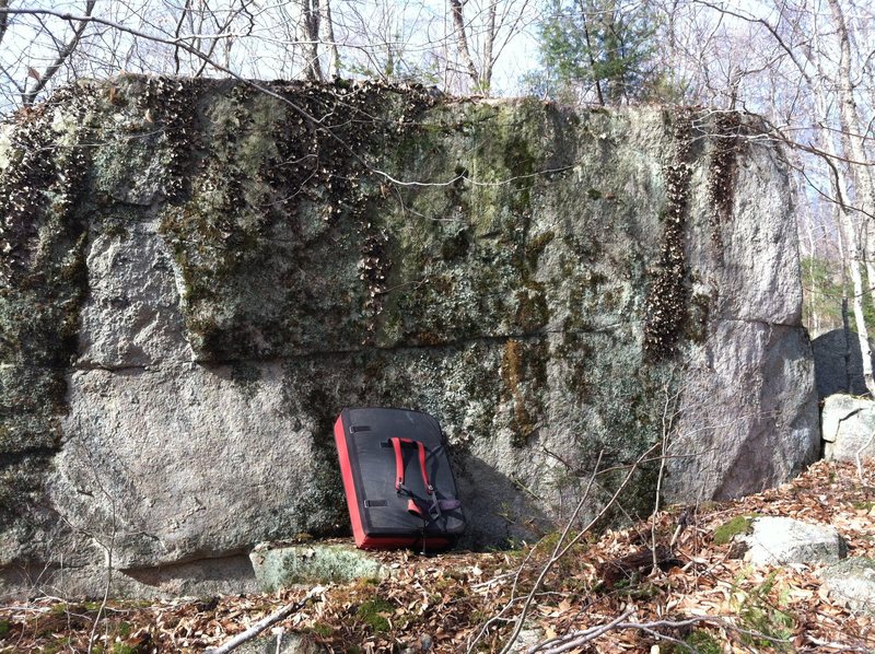 The Discovery Boulder before being cleaned. 