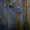 Christina moving through the crux on Men's Crisis Center. <br>
<br>
Photo: James Sullivan