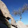 Natural arch at the DQ Wall, Joshua Tree NP