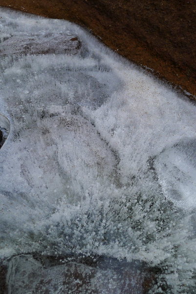 No summit sea monkeys today, just frozen bubbles.