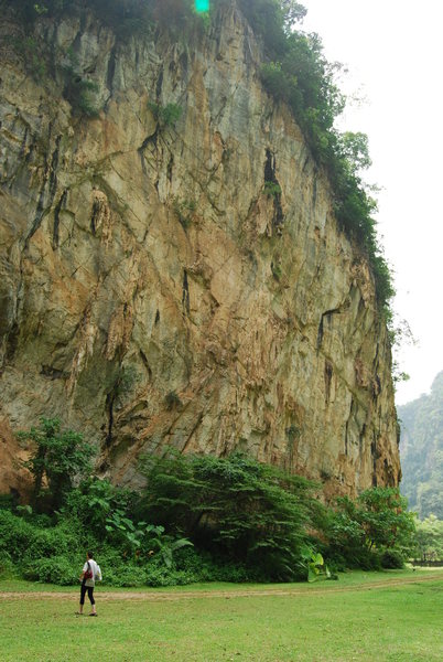 The Tiger wall<br>
Lost World of Tambun, Ipoh, Malaysia