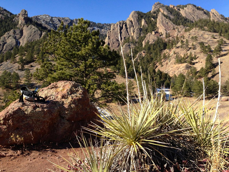 Walking from NCAR.