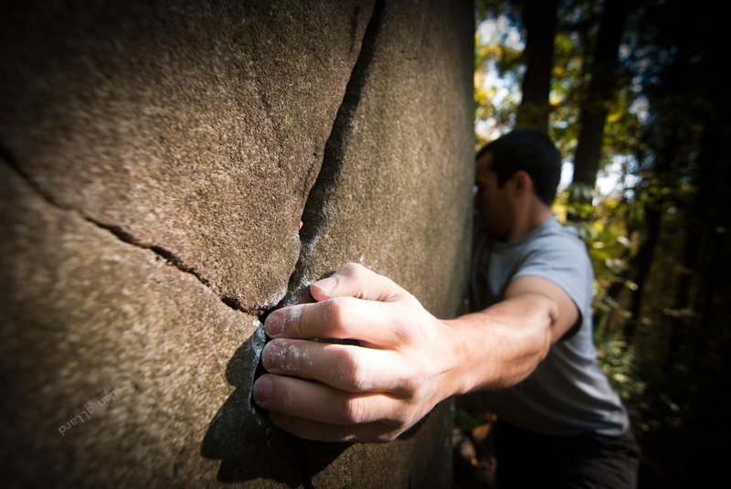 Mount Gretna's diabase texture...mmm. delicious. danallardphoto.com