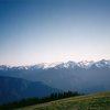 Hurricane Ridge, Olympic NP