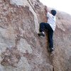 Snack (V-easy), Joshua Tree NP