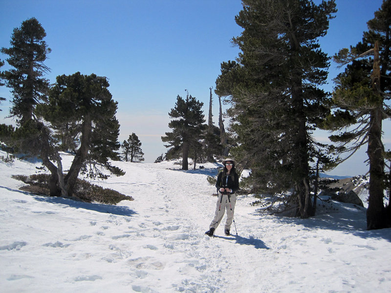 Sara Susca on the crest of the ridge.