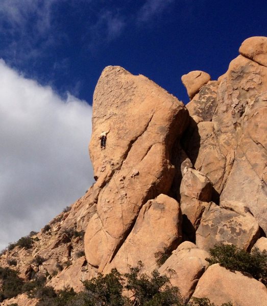 Night Stalker, Owl Rock.