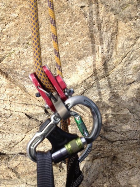 microascender + belay master+ galaxy 10mm