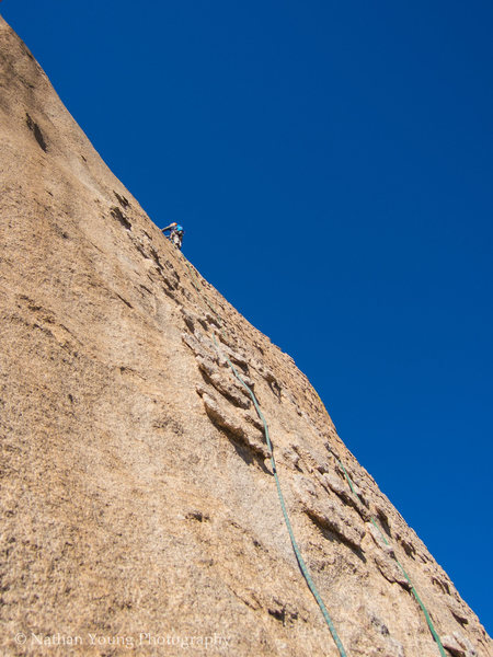 Second Pitch, 40 foot runouts.  The chicken heads are few and far between for solid slinging, but it's all extremely easy climbing.  In this picture there was only one chicken head that would take a good multi-directional pull.  