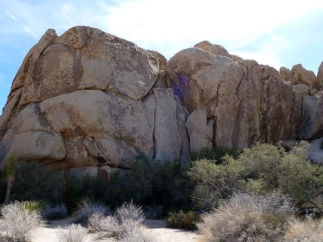 The Oven Mitt, Joshua Tree NP