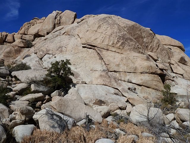 Rat Rock, Joshua Tree NP