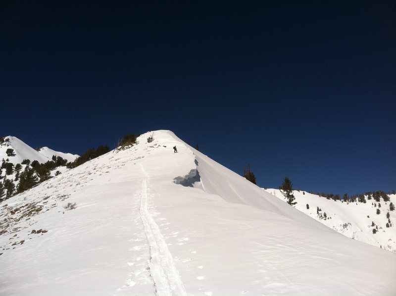 Ryan,skinning up the South East Ridge  to Gobblers Knob. Burley route