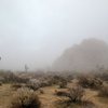 Heavy fog near Quail Springs, Joshua Tree NP 