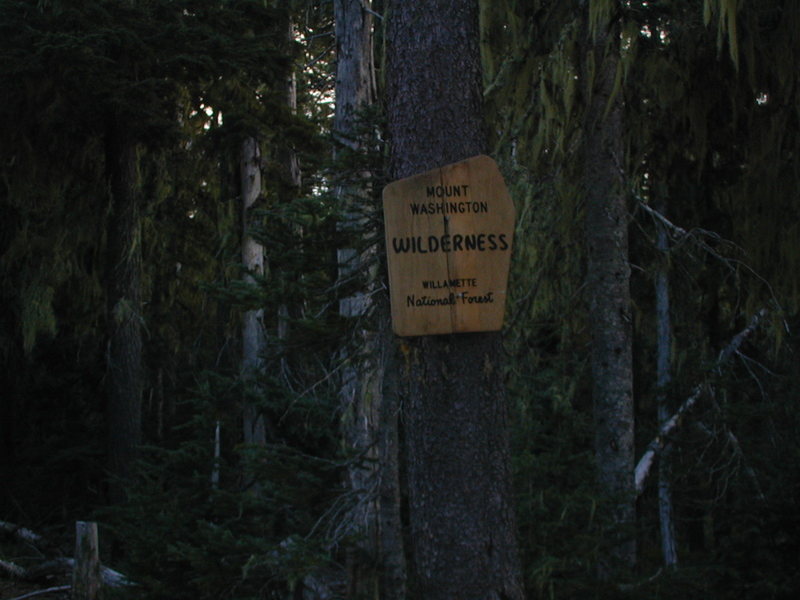 PCT trail head off of NF-811/NF500