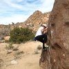 Bodacious Rail (V1), Joshua Tree NP