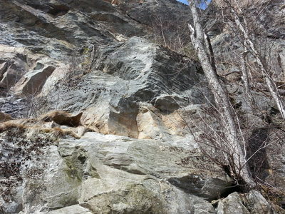 I ended up on this when I thought I was on Charity Case so I thought more pictures can help out all the rookies like me :)