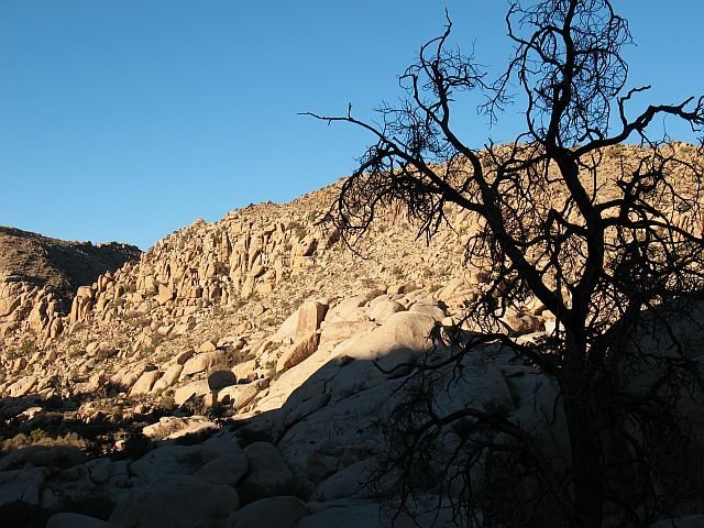 The initial view of The Refrigerator on the approach, Joshua Tree NP