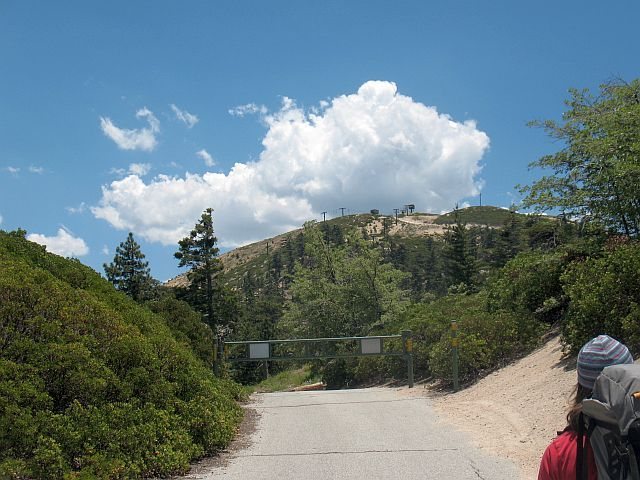 Hiking back to the Children's Forest parking area, Keller Peak