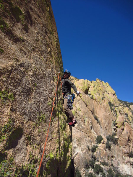 Andrew ready to take flight on the 2nd pitch