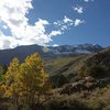 Fall colors, June Lake Loop