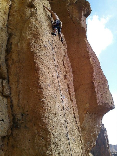 Bunny face, pitch 1 - 5.7