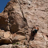 Golden Poodle @ Holcomb Valley.  Photo by Ryan Slaybaugh.