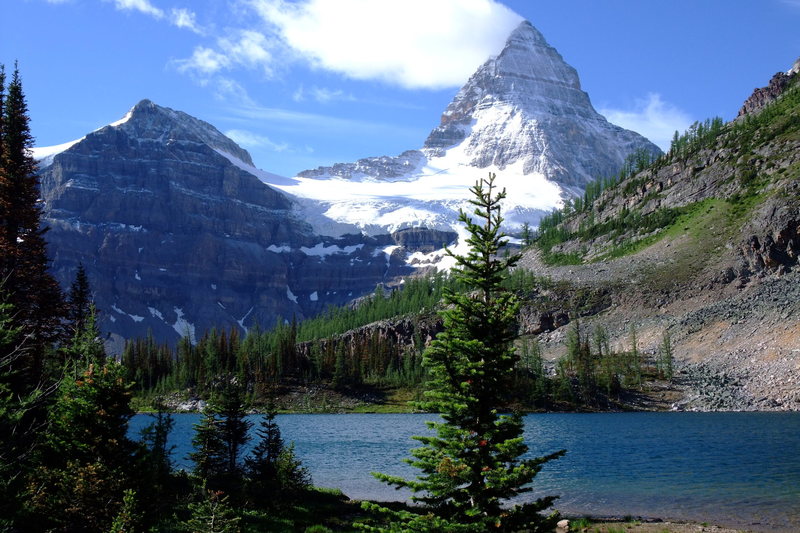 The Majestic Mount Assiniboine