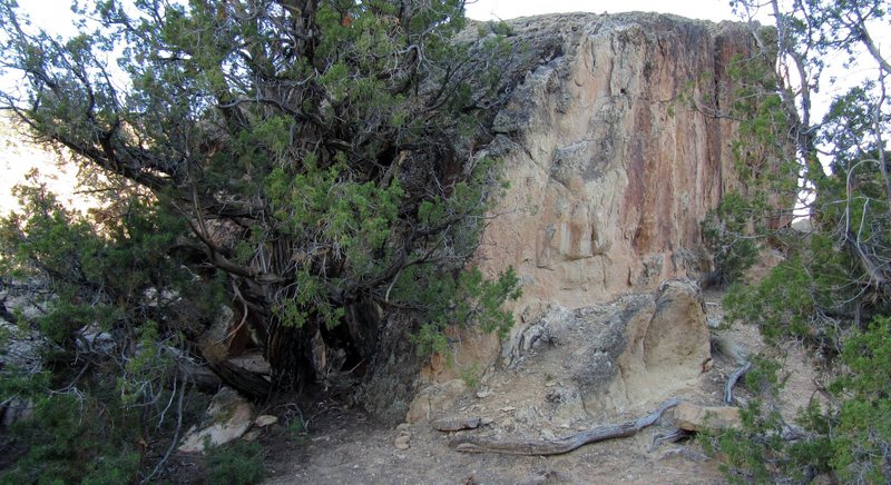 Griddle Block west and north faces.