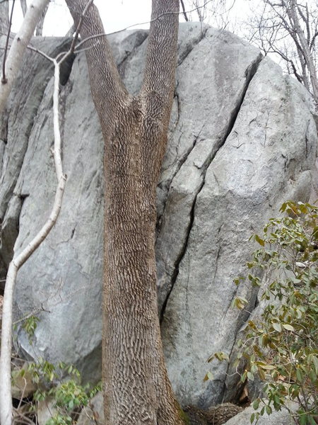 Cool boulder crack that is taller than it looks.  On ridge below the wall of solitude.