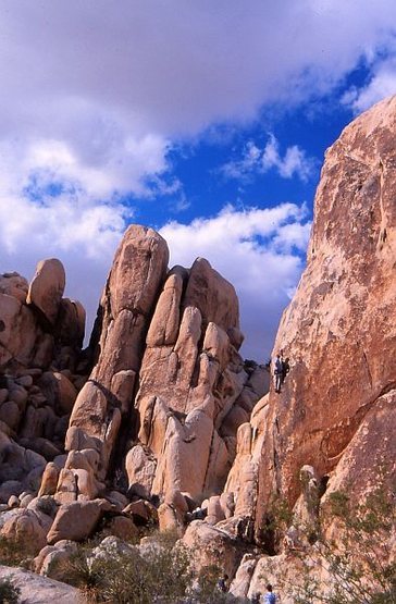 Goodbye Mr. Bond (5.10c), Joshua Tree NP. Photo by Eric Odenthal.