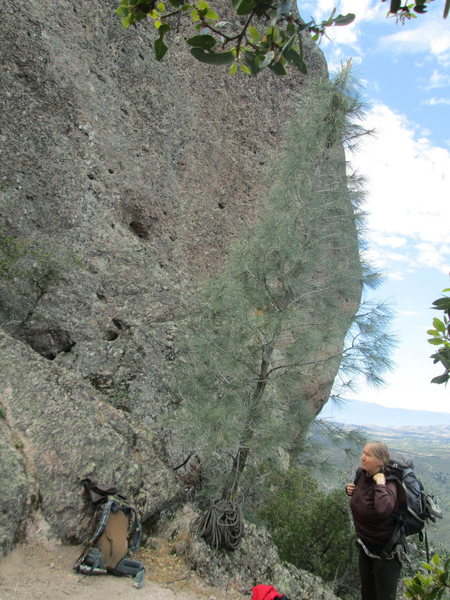 first bolt of route is next to the large hole